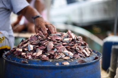 Close-up of fish for sale