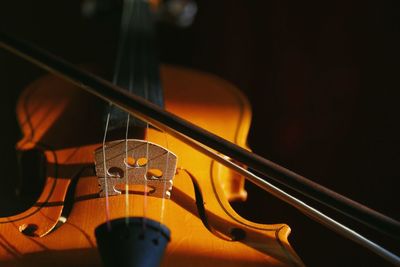 Close-up of violin