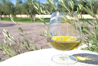 Close-up of beer glass on table