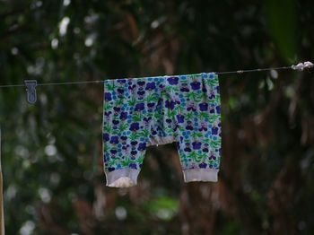 Close-up of clothes hanging on rope