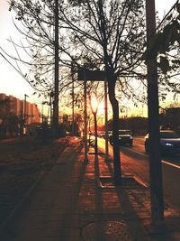 Bare trees in city against sky