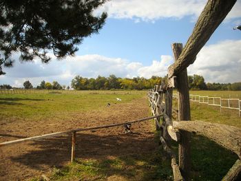 Fence on field against sky
