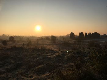 Scenic view of field against clear sky during sunset