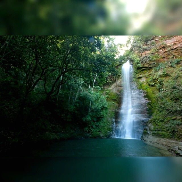 waterfall, motion, water, flowing water, long exposure, flowing, beauty in nature, forest, tree, nature, scenics, rock - object, blurred motion, splashing, growth, idyllic, plant, outdoors, day, stream