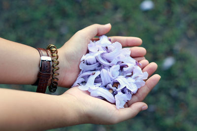 Close-up of hands holding purple flowers