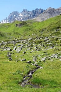 Scenic view of stream amidst field against sky