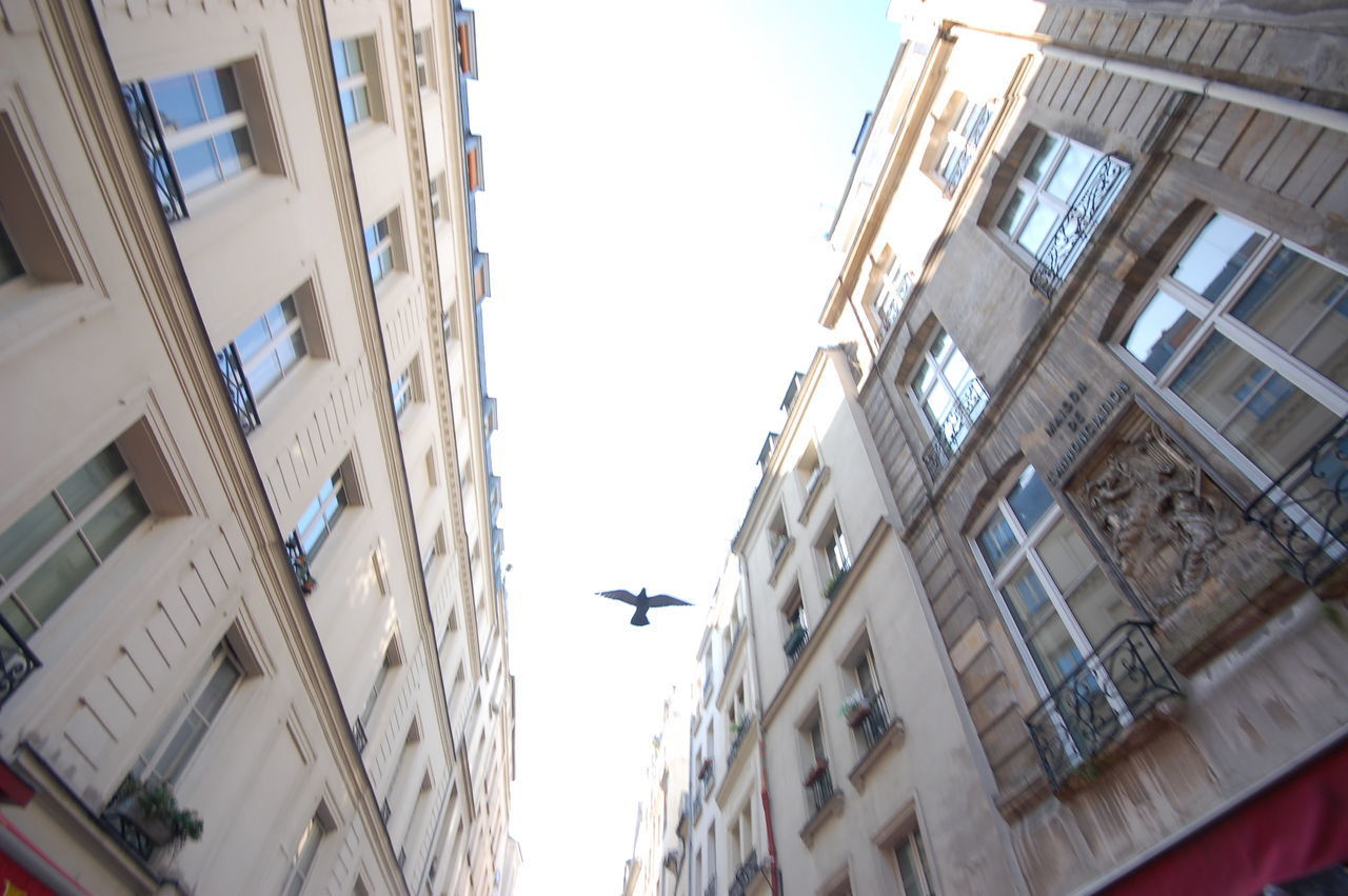 LOW ANGLE VIEW OF BUILDINGS