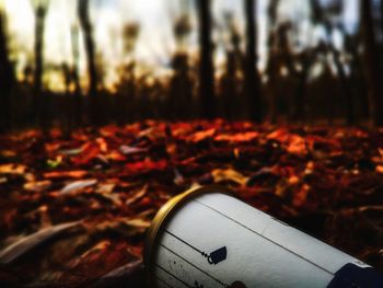 Close-up of leaves falling on field during autumn