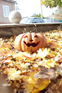 Close-up of pumpkin on leaves during autumn