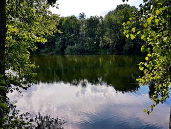 Reflection of trees in lake against sky