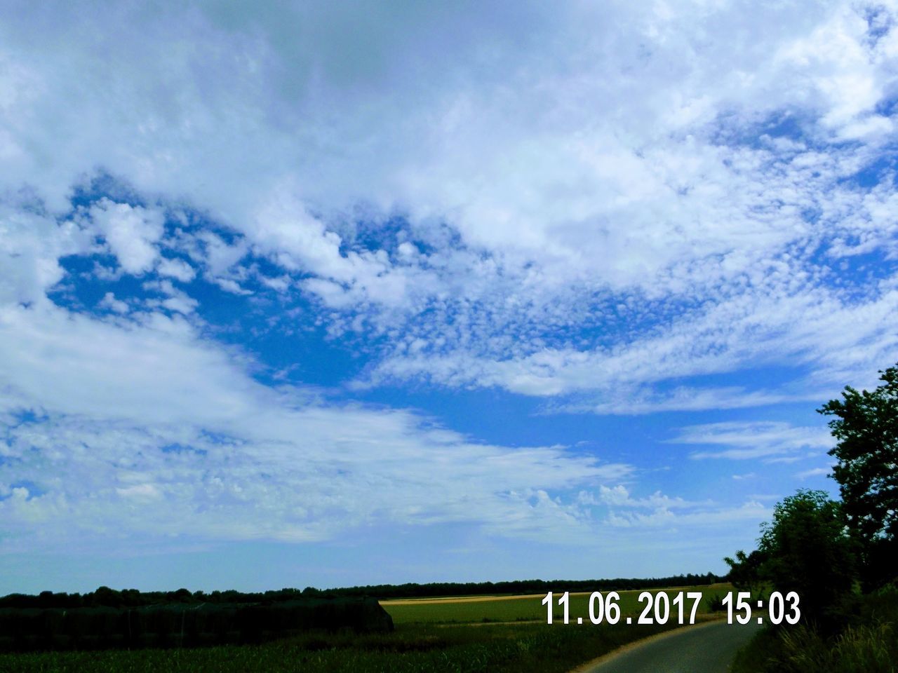 text, sky, communication, cloud - sky, day, blue, nature, road sign, no people, beauty in nature, tranquility, guidance, outdoors, scenics, landscape, tree