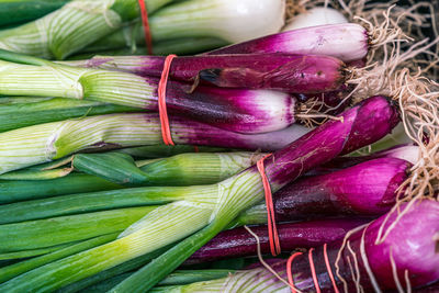 Full frame shot of bunches of green onions for sale at farmers market 