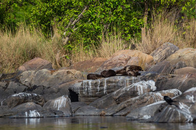 Scenic view of sea and rocks