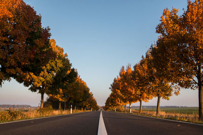 Road amidst trees against sky during autumn