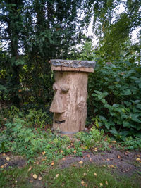 Stone wall in forest