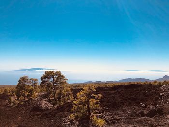 Scenic view of landscape against clear blue sky