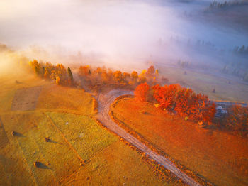 Aerial top view autumn forest fog. orange trees autumn forest, foggy morning. fall colorful sunrise