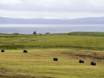 Hay bales on field against sky