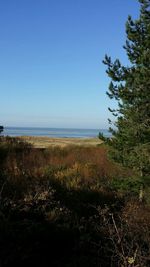 Scenic view of sea against clear sky