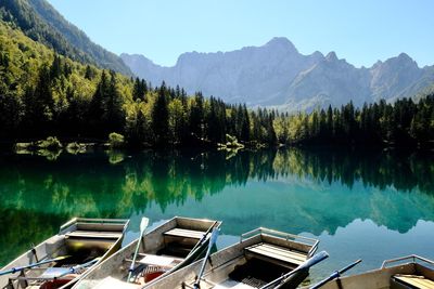 Scenic view of lake by trees against sky