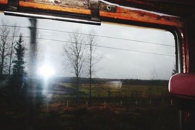 View of trees against sky