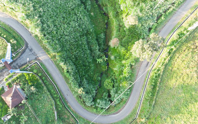 High angle view of trees by road in city