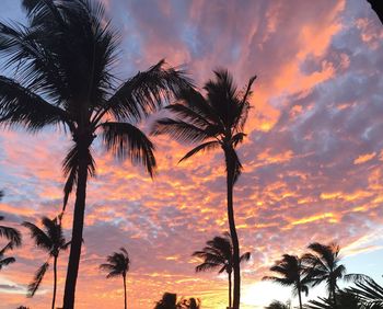 Low angle view of silhouette palm trees against romantic sky