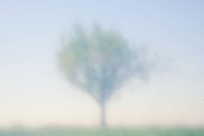 Low angle view of wet plants against sky