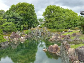 Reflection of trees in water