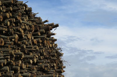 Stack of logs against sky