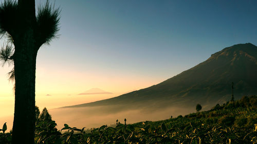 Scenic view of mountains against clear sky during sunset