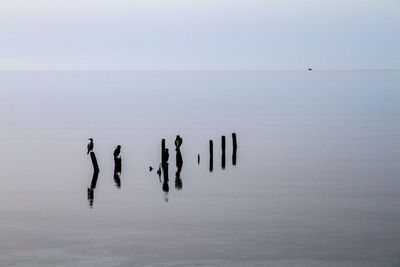 Silhouette people on wooden post in sea against sky