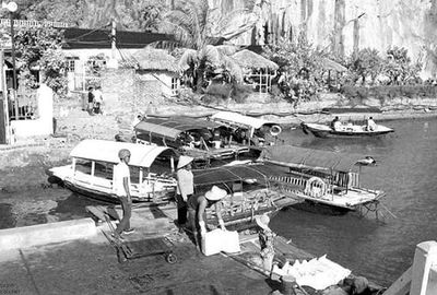 Boats in harbor