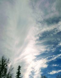 Low angle view of tree against cloudy sky