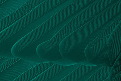 Beautiful dark green viridian vintage color trends feather texture background