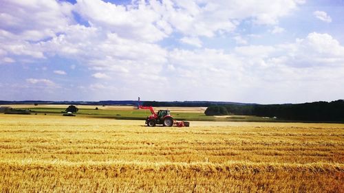 Scenic view of agricultural field against sky