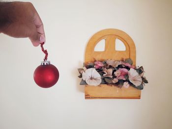 Close-up of hand holding pink roses against white wall