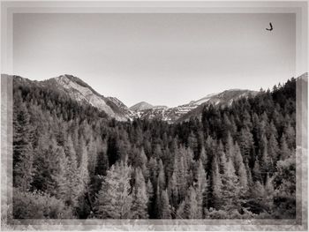 Scenic view of mountains against clear sky