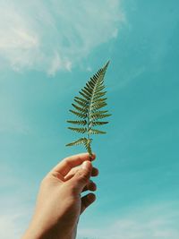 Cropped hand holding plant against sky