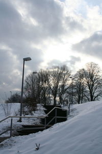 Snow covered trees against sky