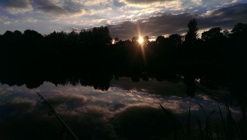 Silhouette of trees at sunset