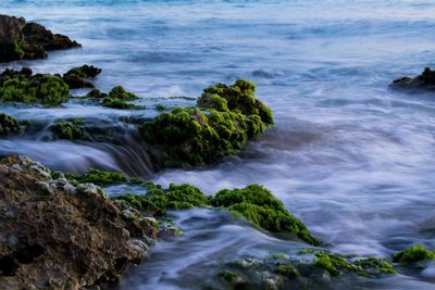 Rocks in water