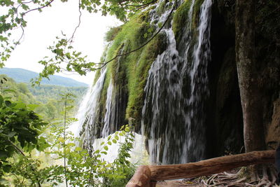 Scenic view of waterfall in forest