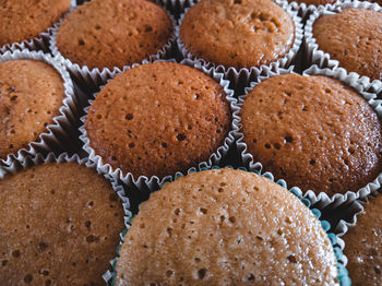 High angle view of cupcakes