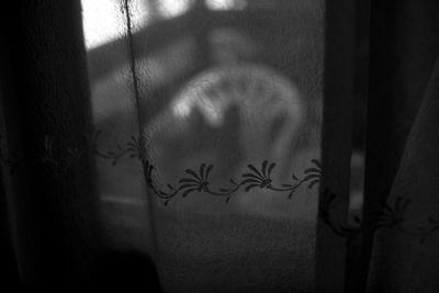 Shadow of person on wall at home