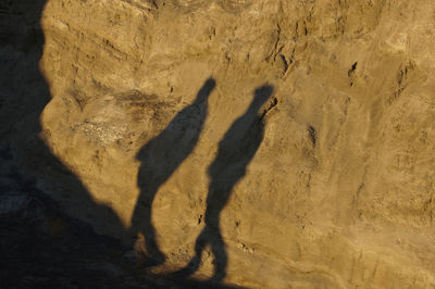 High angle view of people shadow on rock