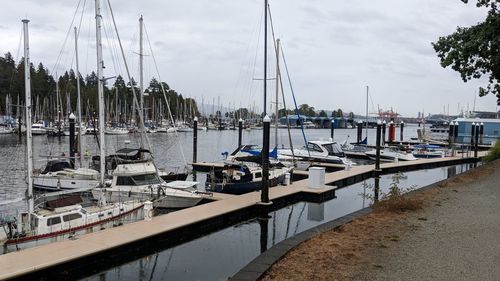 Sailboats moored at harbor