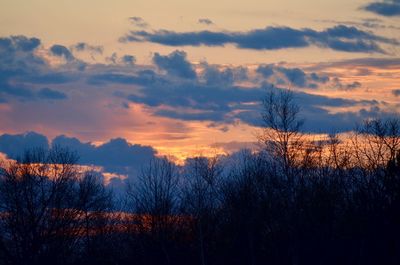 Silhouette bare trees on landscape against sky during sunset