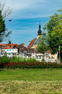 Plants growing on field by buildings against sky