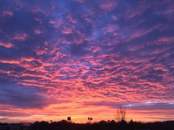 Low angle view of silhouette trees against sky at sunset